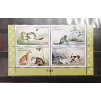 Таджикистан. 2021 год. Фауна. Кошки (1236)