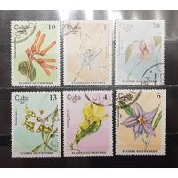 Куба. 1980 год. Флора. Цветы (1293)