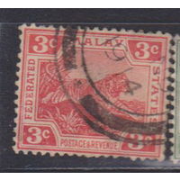 Тигр фауна Федерация Малайских государств 1906 год  Лот 1