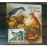 ЛИСТ ФАУНА ПТИЦЫ  СТО