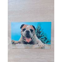 Календарик 1993