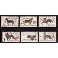 Чехословакия-1965,(Мих.1542-1547) , ** , Фауна, Собаки