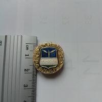 Значок Камышин древний герб