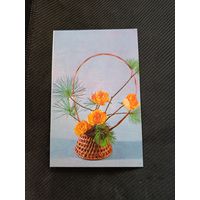 Открытка. Композиция из роз и веток кедра в корзине. 1975 г.