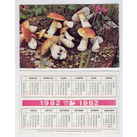 Календарь Грибы 1982