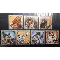 Монголия. 1984 год. Фауна. Собаки (587)