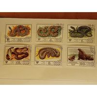 СССР 1977 Фауна. Охраняемые животные. 6 марок