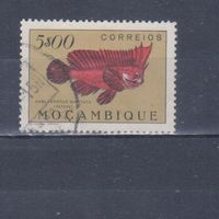 [782] Португальский Мозамбик 1951. Фауна.Рыба.5 э. Гашеная марка.