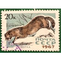 СССР 1967. Фауна. Норка. Марка из серии