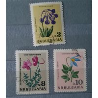 Болгария цветы 3шт