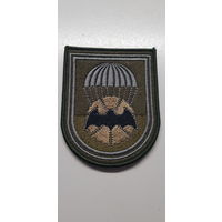 Шеврон 22 отдельная рота специального назначения Беларусь