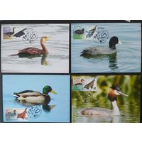 Беларусь 2023 КМ Особенности водоплавающих птиц, тираж 20 экз .