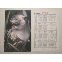Карманный календарик. Котик.1993 год