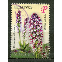 Цветы. Флора. Ятрышник обожжённый. 2011. Беларусь