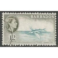 Барбадос. Королева Елизавета II. Летающая рыба. 1953г. Mi#210.