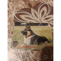 Календарик,реклама,2008