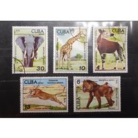 Куба. 1978 год. Фауна (588)