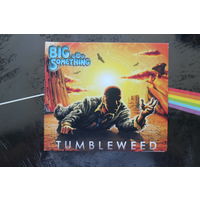 Big Something – Tumbleweed (2017, CD)