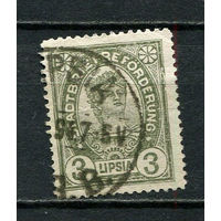 Германия - Лейпциг (Lipsia) - Местные марки - 1893 - Lipsia 3Pf - [Mi.10a] - 1 марка. Гашеная.  (Лот 75CR)