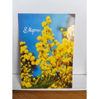 Открытка чистая, 1986г. 8 марта. Фото В. Панова. 14