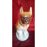 Боксер лфз.