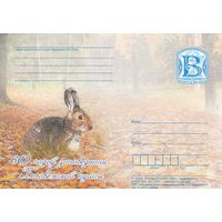 Беларусь 2009 ПК 600 лет заповедности Беловежской пущи Заяц (к5)