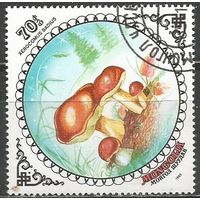 Монголия. Польский гриб. 1985г. Mi#1743.