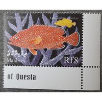 1989 - Коралловый групер- Мальдивы