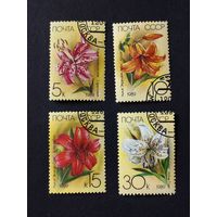 1989 СССР. Лилии. Полная серия.