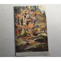 1906 год Курляндия Открытка