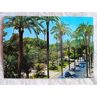 Испания, Валенсия. Авеню художника Пинасо Аламеда