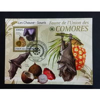 ЛИСТ ФАУНА ПТИЦЫ  СТО