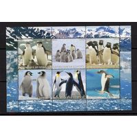 СЕРИЯ Блоков птицы  фауна MNH