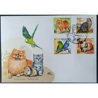 Беларусь 2025 КПД, домашние питомцы .