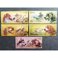 Марки СССР 1988 год Собаки