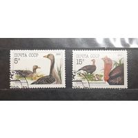 СССР. 1990 год. Фауна. Домашние птицы (397)