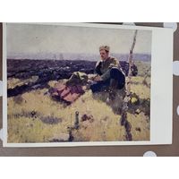 Лесин. В родные места