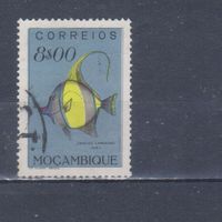[1707] Португальский Мозамбик 1951. Фауна.Рыба.8 э. Гашеная марка.