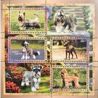 Чад 2020. Породы собак. Малый лист