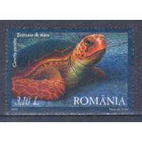 [2400] Румыния 2007. Фауна.Черепаха. Гашеная марка.
