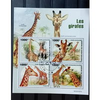 ЛИСТ ФАУНА жирафы  СТО