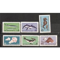 ФФ2 Болгария 1961 Морская фауна гаш