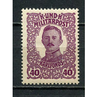 Босния и Герцеговина (Австро-венгерская администрация) - 1918 - Император Карл I 40H - [Mi.146] - 1 марка. MH.  (Лот 13JC)-TG3P59