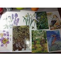 Открытки флора  , фауна с рубля .