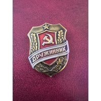 Дружинник