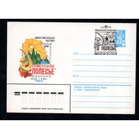 Художественный маркированный конверт СССР со спецгашением N 13434 (10.04.1979) Филателистическая выставка "Советское Полесье"  Гомель 1979