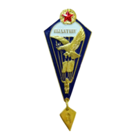 Знак Парашютист Отличник ВС РБ