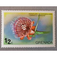 Пассифлора. Гренада