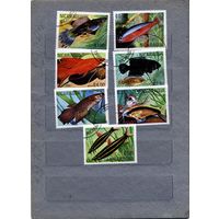 НИКАРАГУА, 1981,   РЫБЫ, серия 7м, гашен