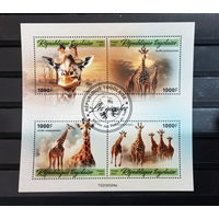 ЛИСТ ФАУНА жирафы  СТО